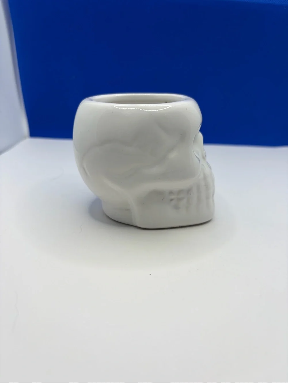 White Ceramic Skull Planter Cachepot Goth Halloween Succulent Pot